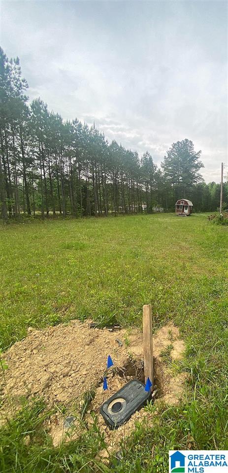 19639 Highway 411 Springville, AL 35146 - Photo 3 of 3