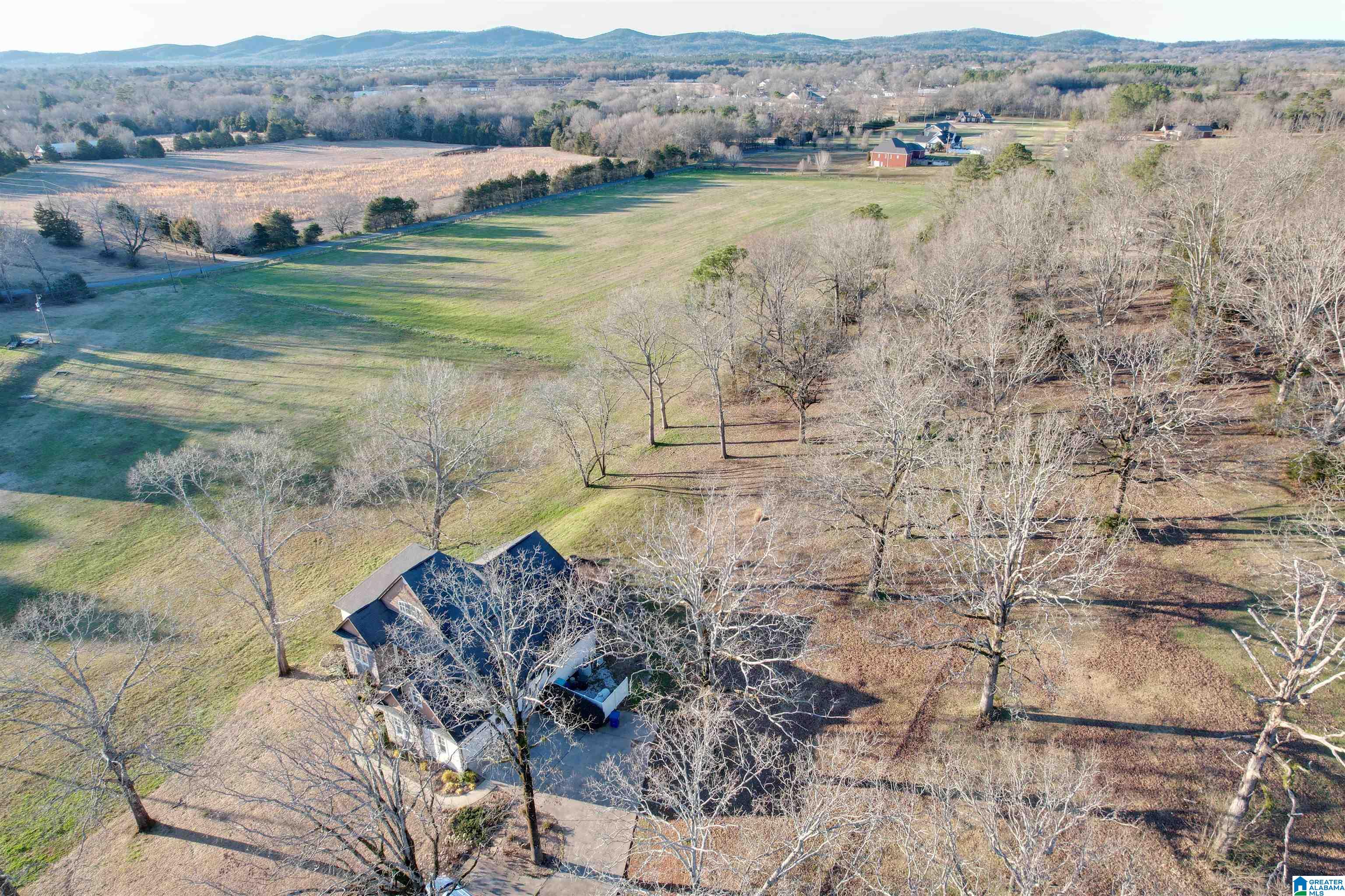 580 Mitchell Road Talladega, AL 35160 - Photo 2 of 41