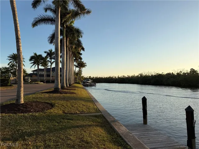 a view of a lake with a palm and large trees