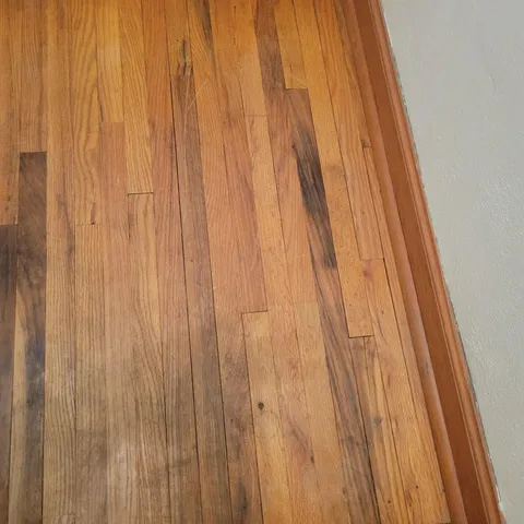 $239,000 | 404 North Vine Street, Fergus Falls, MN 56537