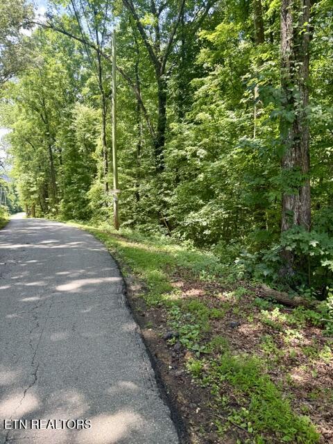 Lot 4 Hackworth Road Knoxville, TN 37931 - Photo 2 of 4 Road Frontage