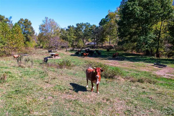 $1,390,000 | 0 County Road 1130, Willow Springs, MO 65793
