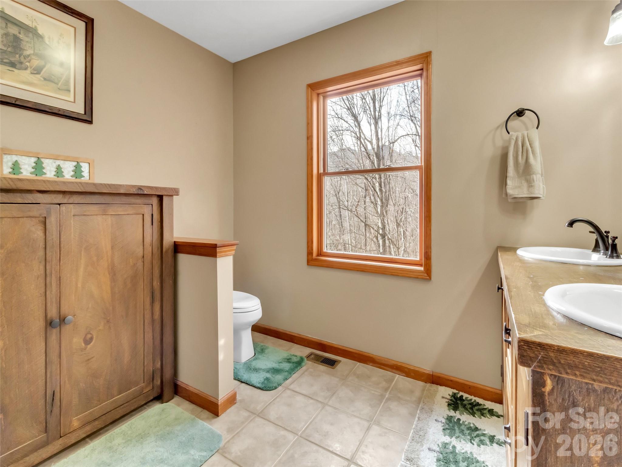 371 Falcon Ridge Drive Waynesville, NC 28786 - Photo 46 of 48