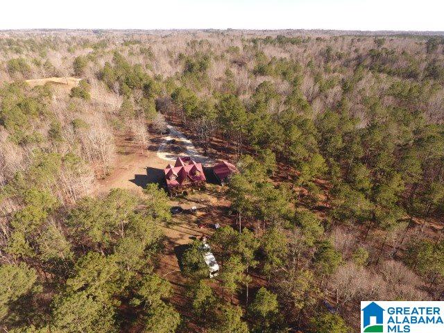 1899 County Road 76 Clanton, AL 35045 - Photo 7 of 41
