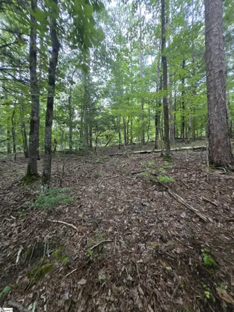 $52,000 | Dockside Drive, Iva, SC 29655