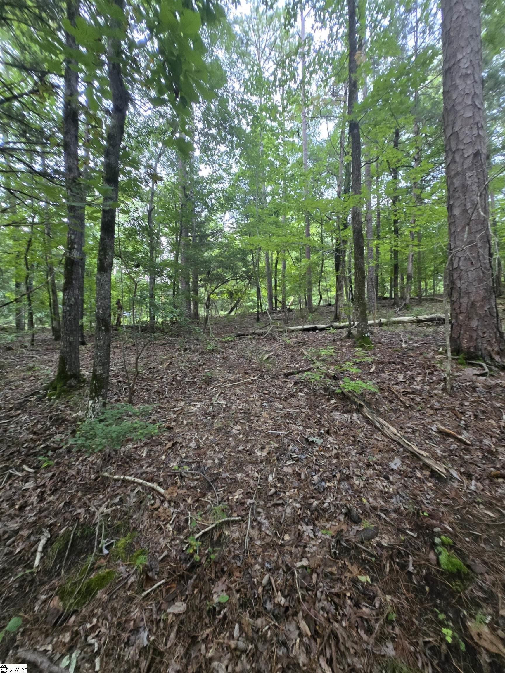 Dockside Drive Iva, SC 29655 - Photo 2 of 10