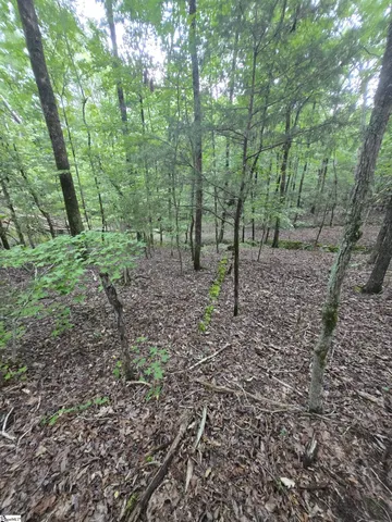 $52,000 | Dockside Drive, Iva, SC 29655