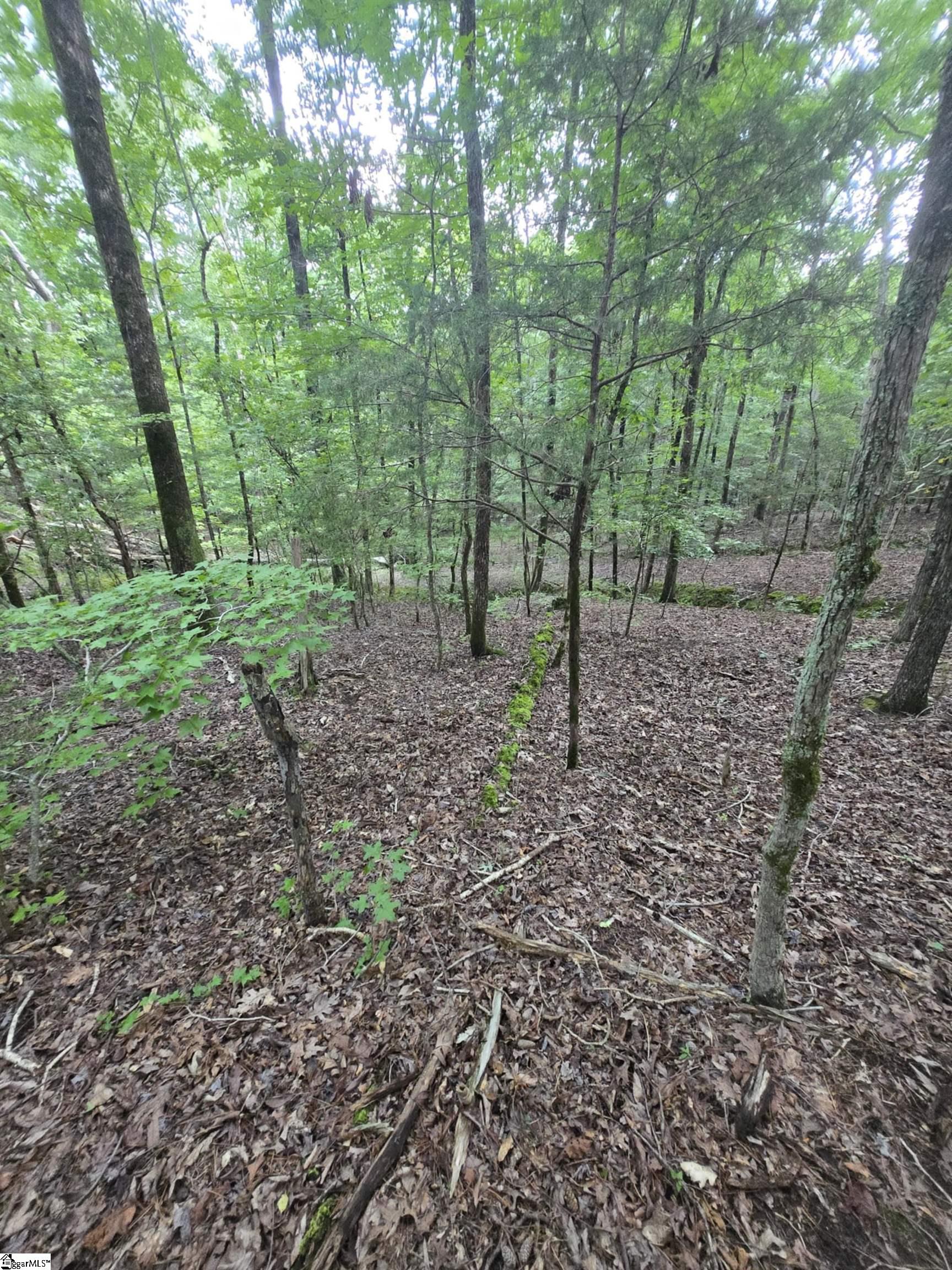 Dockside Drive Iva, SC 29655 - Photo 6 of 10