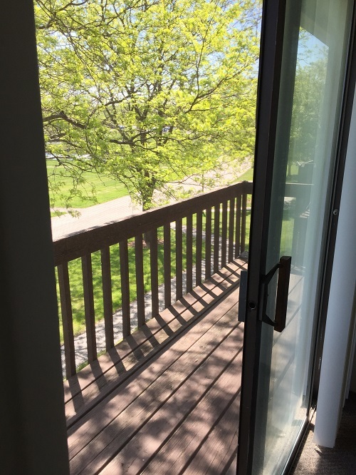 57 Vail Colony, Unit 2 Fox Lake, IL 60020 - Photo 11 of 12 a view of a balcony with wooden floor