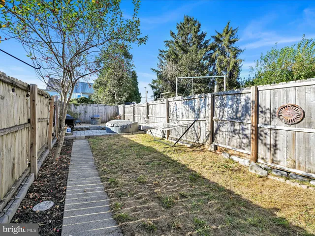 a view of a yard with large tree