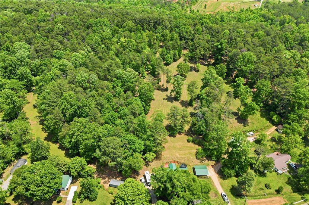 1709 Harrington Road Ball Ground, GA 30107 - Photo 36 of 46 a view of a garden