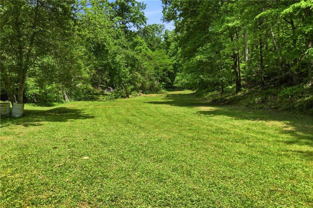 1709 Harrington Road Ball Ground, GA 30107 - Photo 37 of 46 a view of a grassy field with trees