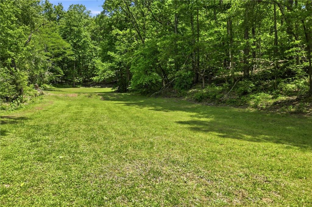 1709 Harrington Road Ball Ground, GA 30107 - Photo 38 of 46 a view of yard with green space