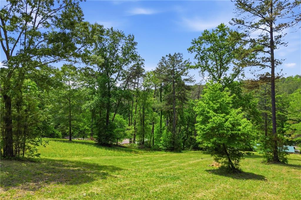 1709 Harrington Road Ball Ground, GA 30107 - Photo 39 of 46 a view of a park