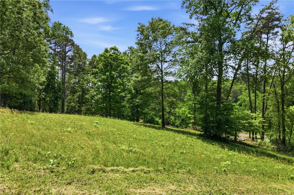 1709 Harrington Road Ball Ground, GA 30107 - Photo 40 of 46 a yard with trees in the background