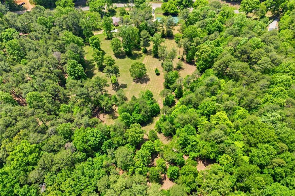 1709 Harrington Road Ball Ground, GA 30107 - Photo 42 of 46 a view of a lush green forest