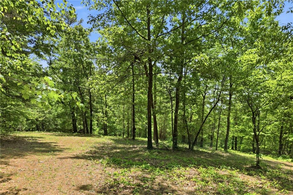 1709 Harrington Road Ball Ground, GA 30107 - Photo 44 of 46 a view of a trees with a yard