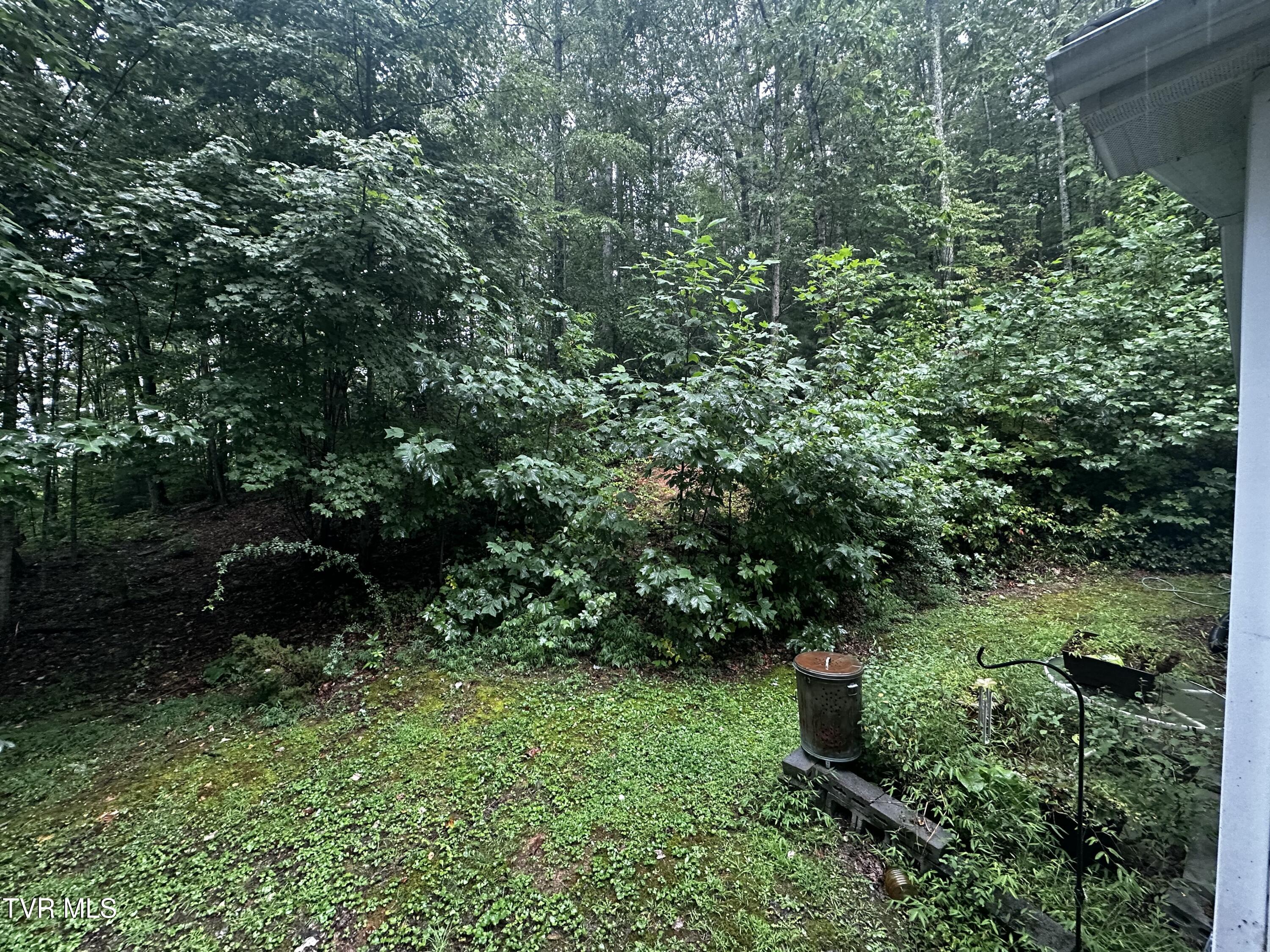 1423 Poga Road Butler, TN 37640 - Photo 31 of 39 IMG_6504