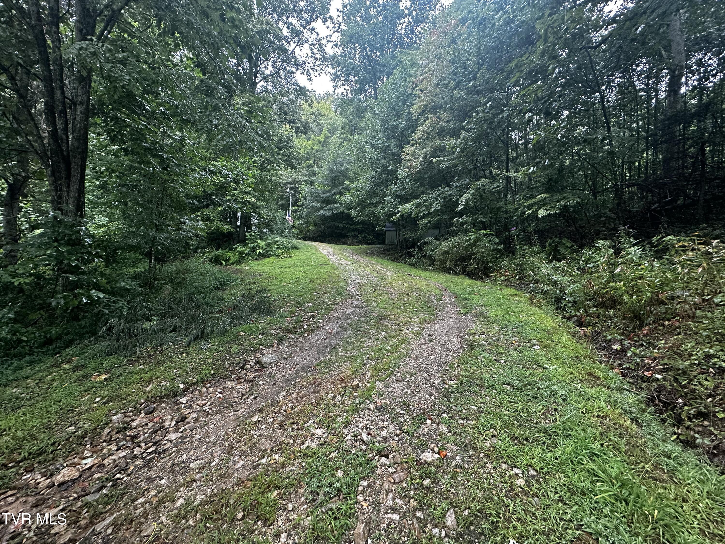 1423 Poga Road Butler, TN 37640 - Photo 37 of 39 IMG_6511
