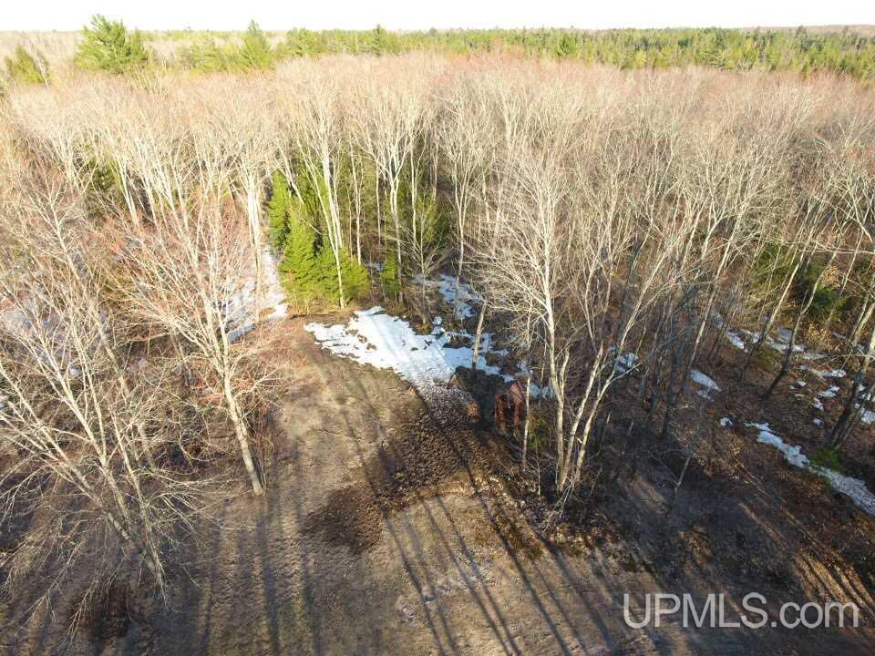 9936 N South Ross Lake Road Shingleton, MI 49884 - Photo 12 of 50