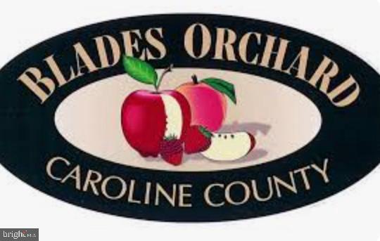 221 Denton Road Federalsburg, MD 21632 - Photo 31 of 33 a view of a sign board