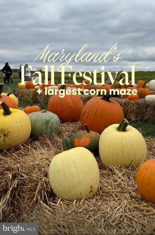 221 Denton Road Federalsburg, MD 21632 - Photo 33 of 33