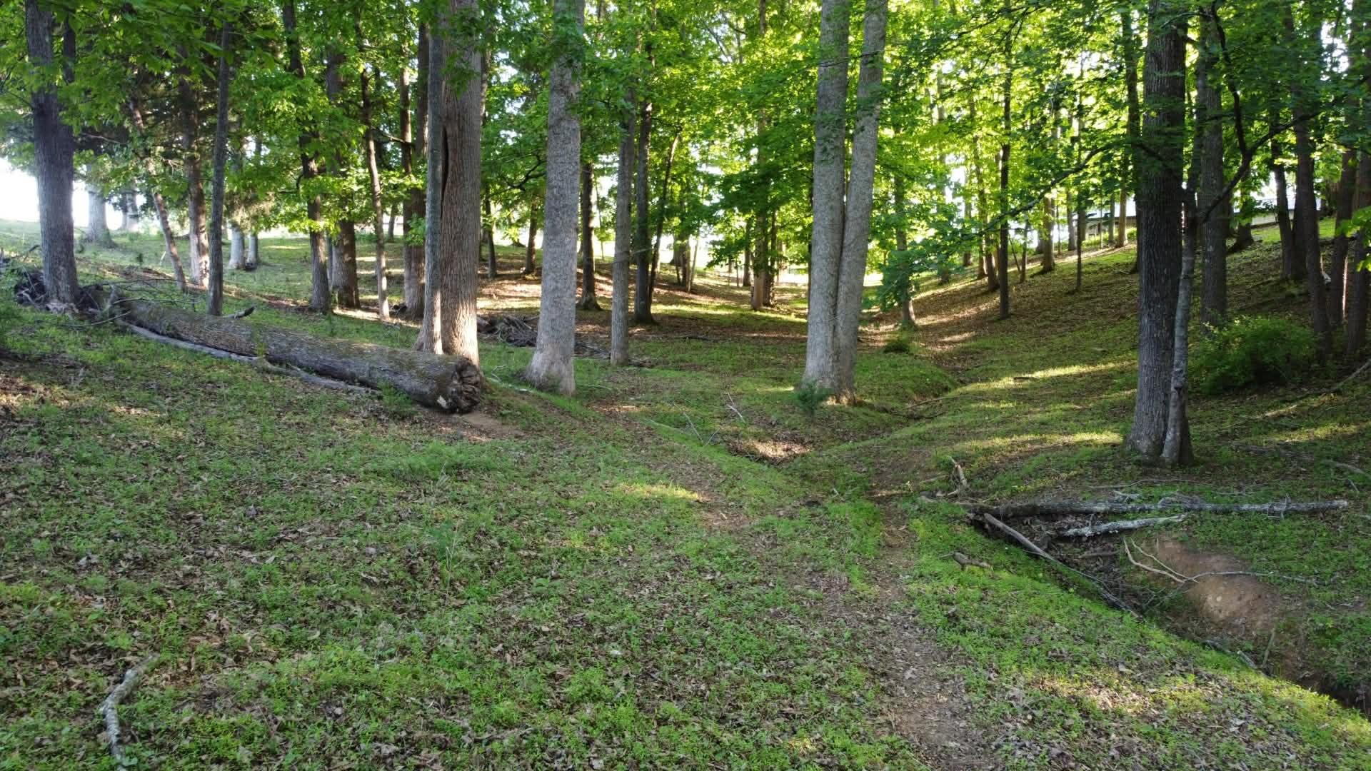 143 Griffintown Road Sparta, TN 38583 - Photo 27 of 35 a view of outdoor space and yard
