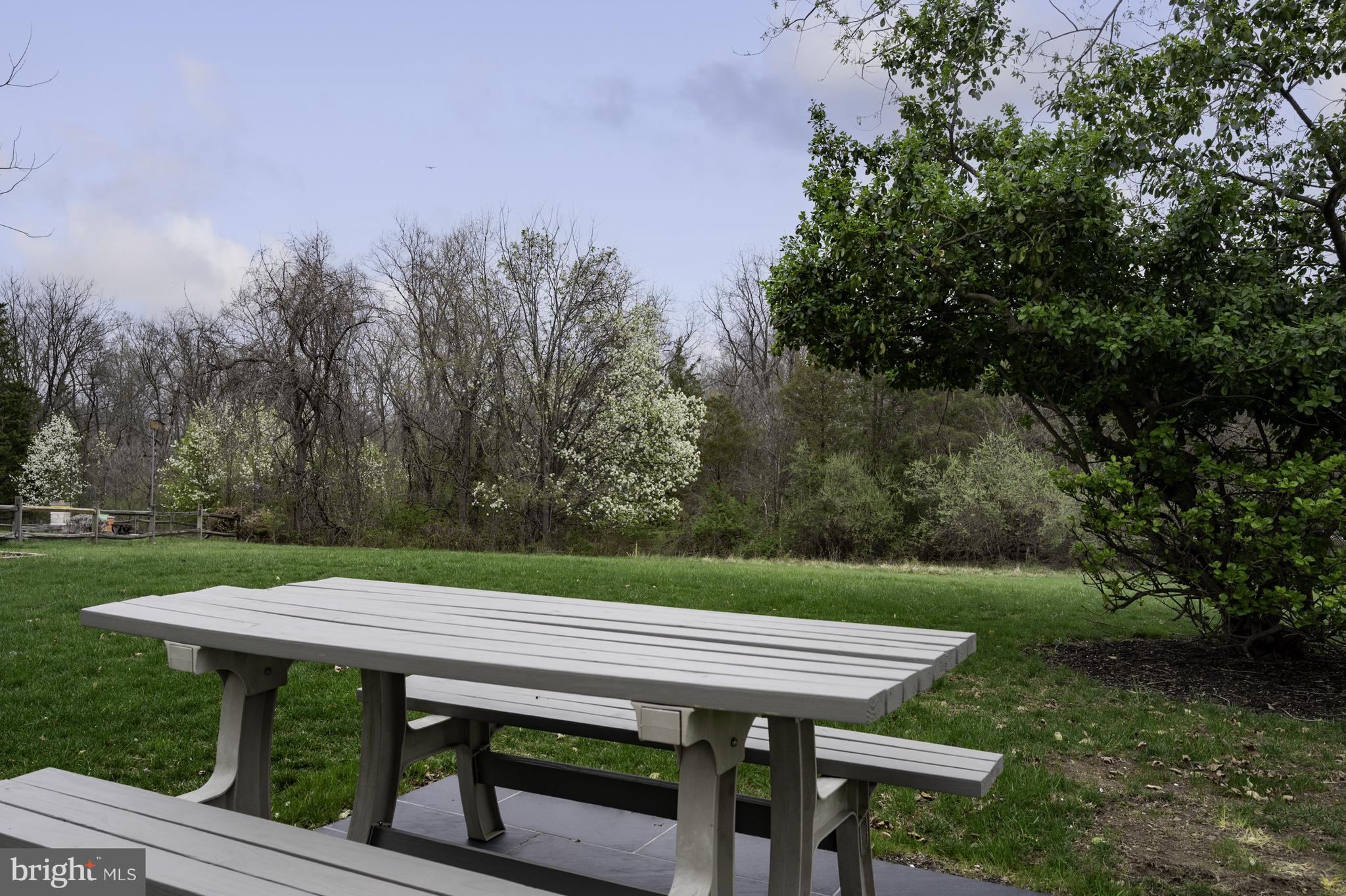 4417 Cub Run Road Chantilly, VA 20151 - Photo 43 of 57 YARD VIEW