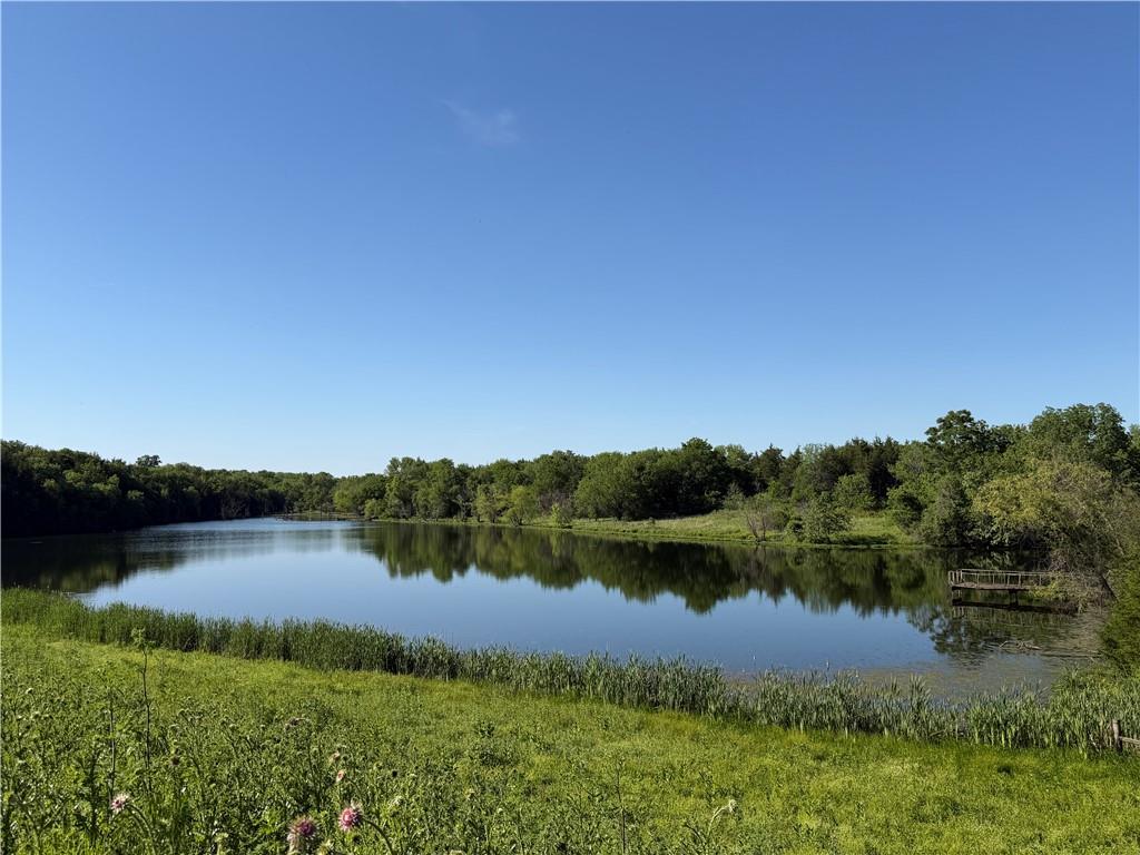 4345 Douglas Road Lane, KS 66042 - Photo 9 of 23