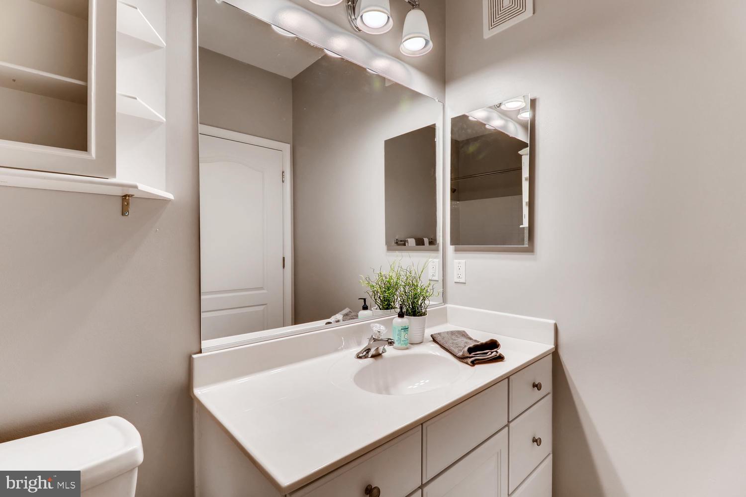 7335 Brookview Road, Unit 408 Elkridge, MD 21075 - Photo 21 of 26 Single vanity and plenty of cabinet space