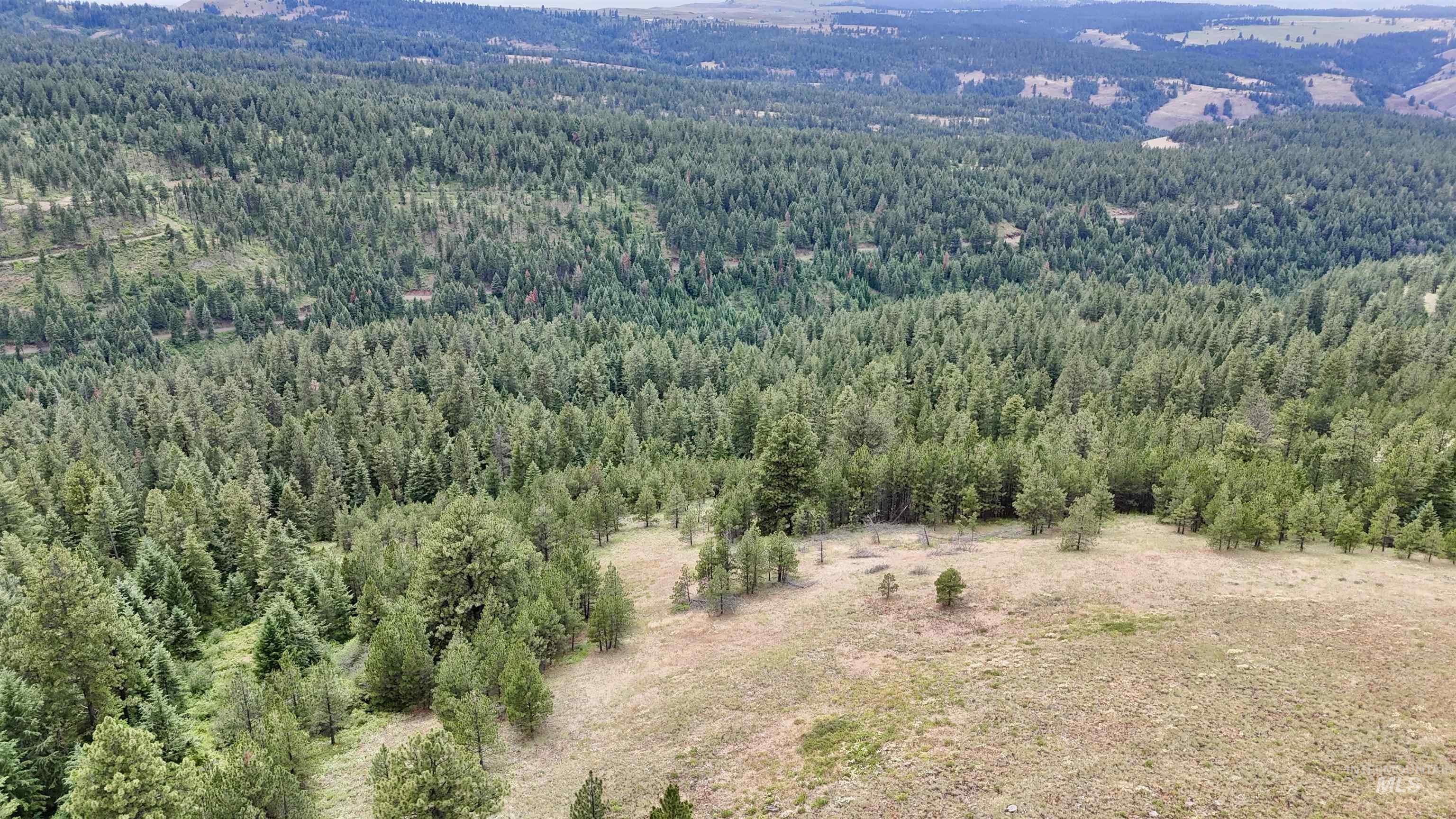 Lot 91 Pilgrim Ridge Road White Bird, ID 83554 - Photo 5 of 35