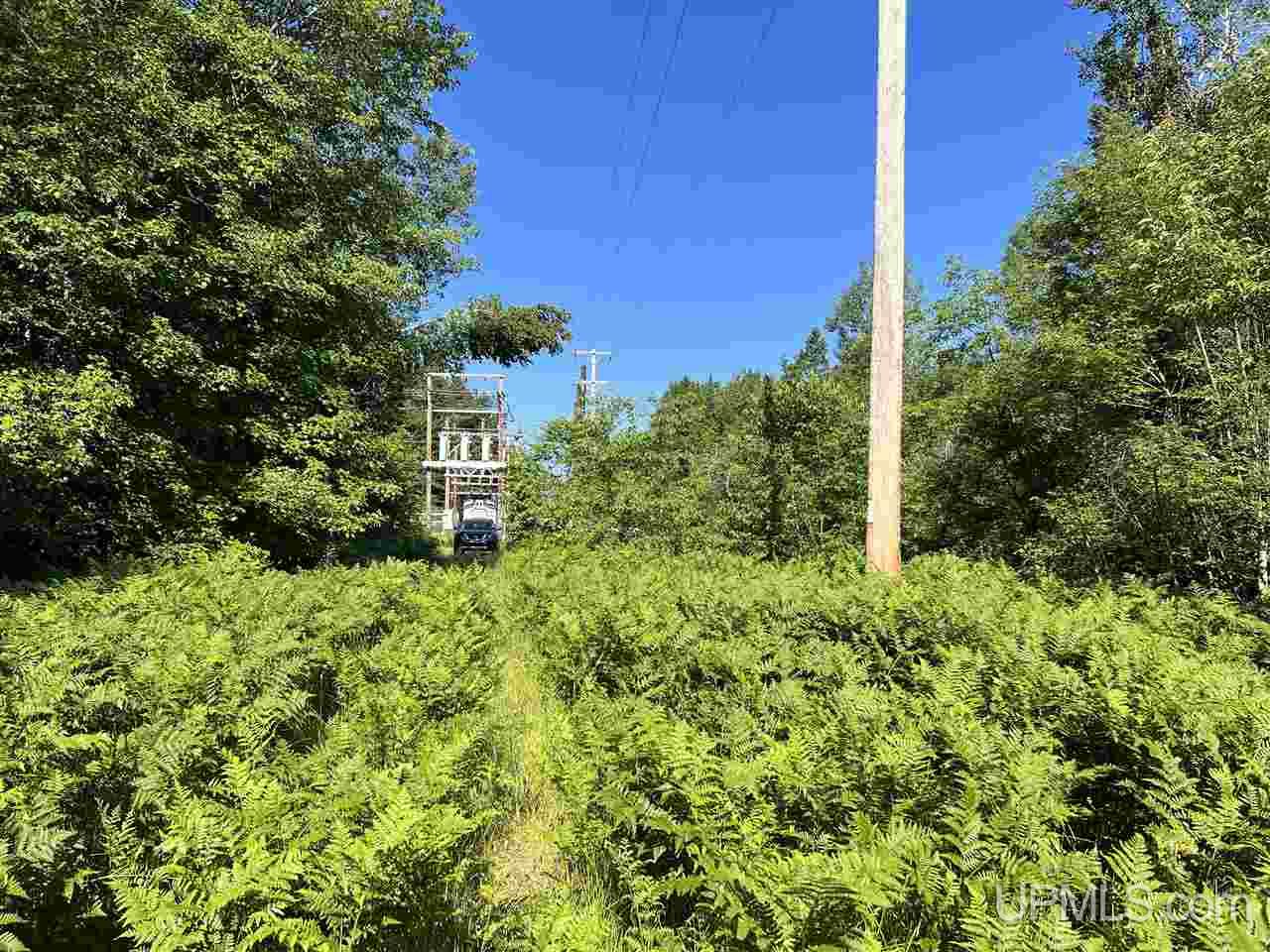 Tbd Tbd H-15 Shingleton, MI 49884 - Photo 11 of 23