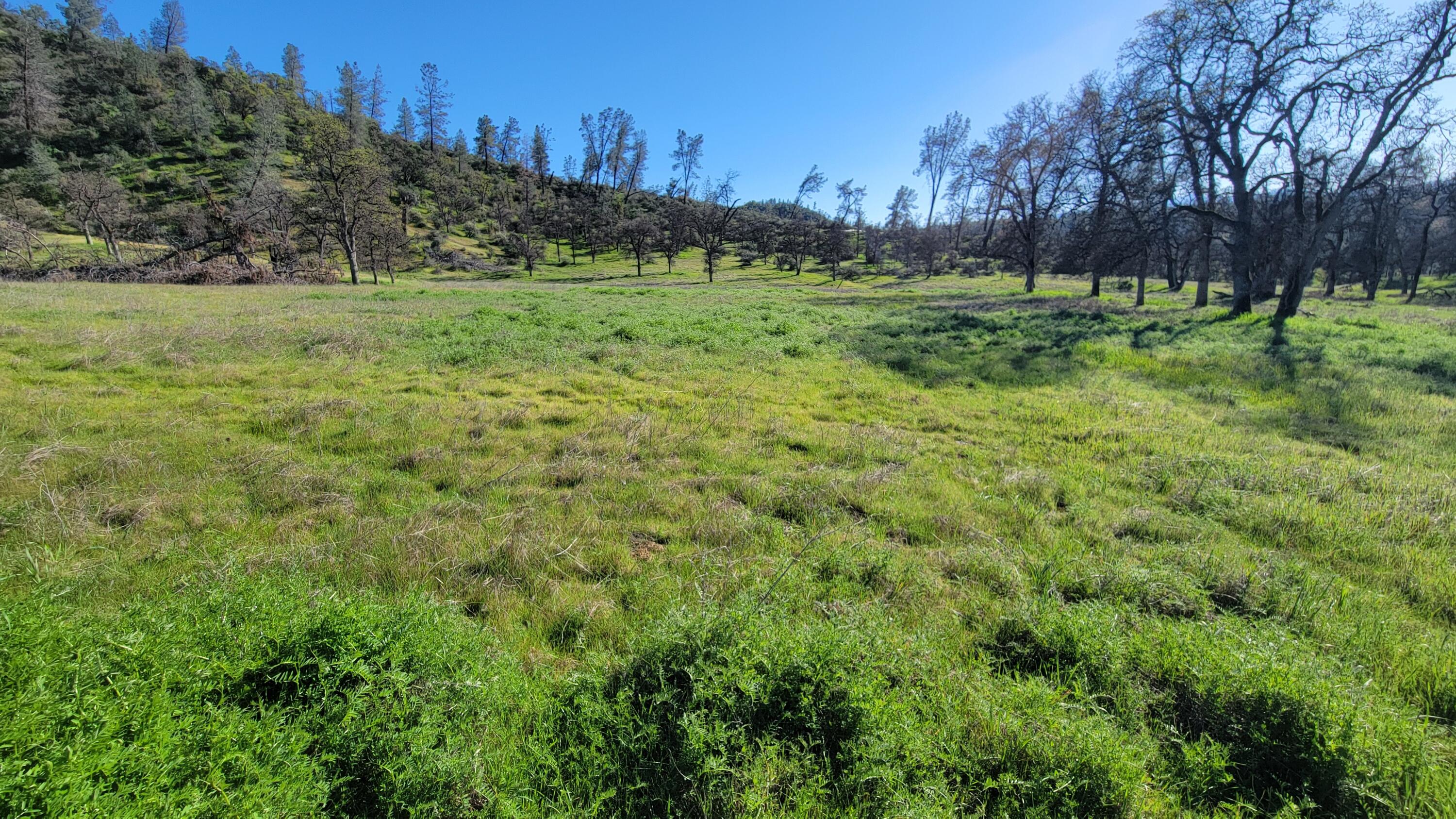 Lot 65 Gogo Road Igo, CA 96047 - Photo 2 of 70 20260309_162729