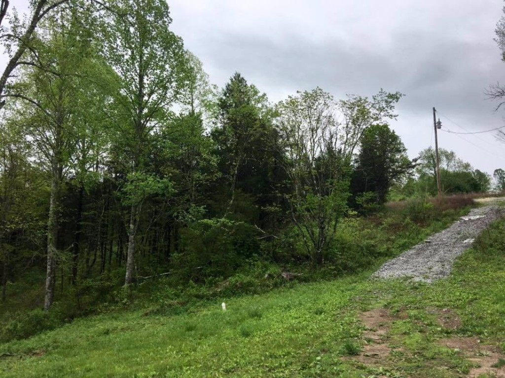 24129 Wilderness Road Jonesville, VA 24263 - Photo 23 of 28 Photo 23