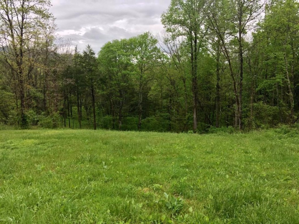 24129 Wilderness Road Jonesville, VA 24263 - Photo 25 of 28 Photo 25