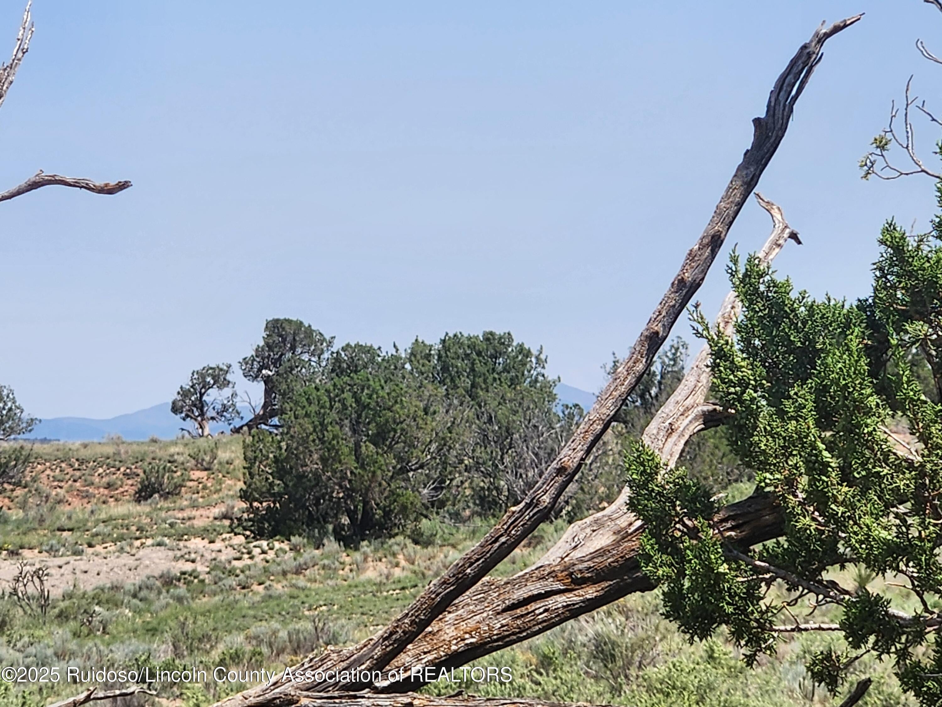 312 Windmill Road Carrizozo, NM 88301 - Photo 8 of 70 Gallery Image 8