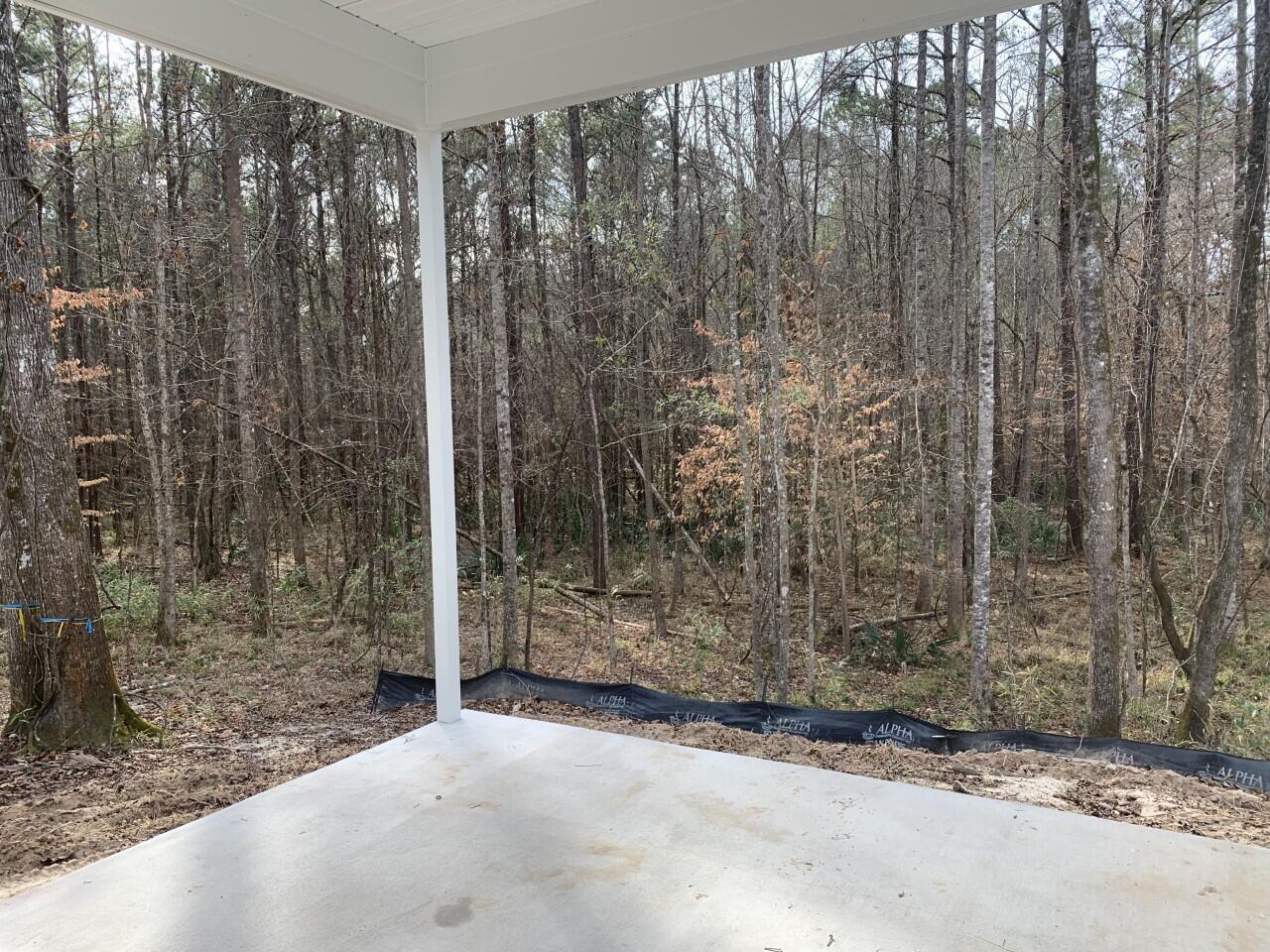 1031 Deep Gap Road Ridgeville, SC 29472 - Photo 15 of 16 thumbnail_IMG_5688