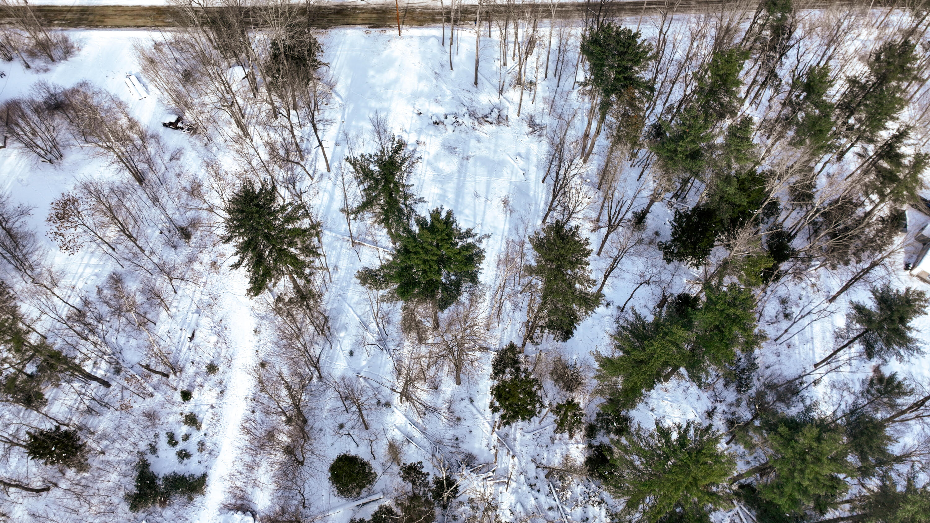 20 Skyscraper Hill Road Brooks, ME 04921 - Photo 8 of 35 dji_fly_20260201_102222_108_177016507968
