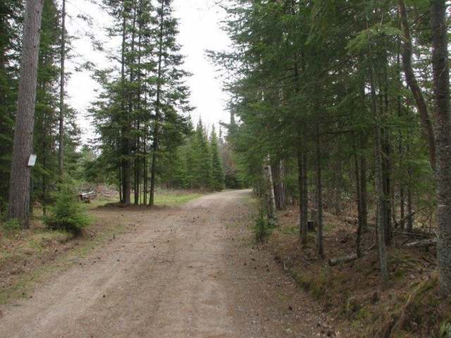 On Burnt Bridge Road, Unit LOT 4 St. Germain, WI 54558 - Photo 4 of 15 Gallery Image 4