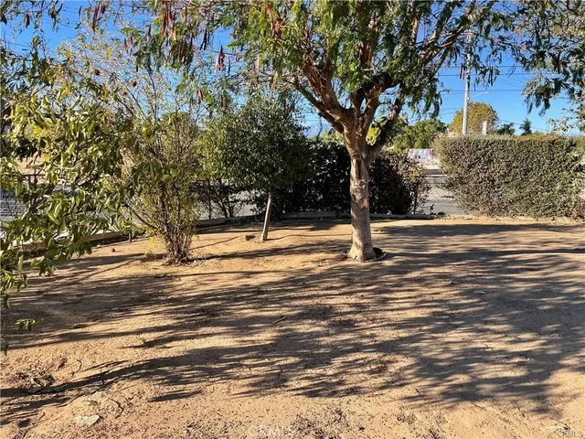 a view of road and trees