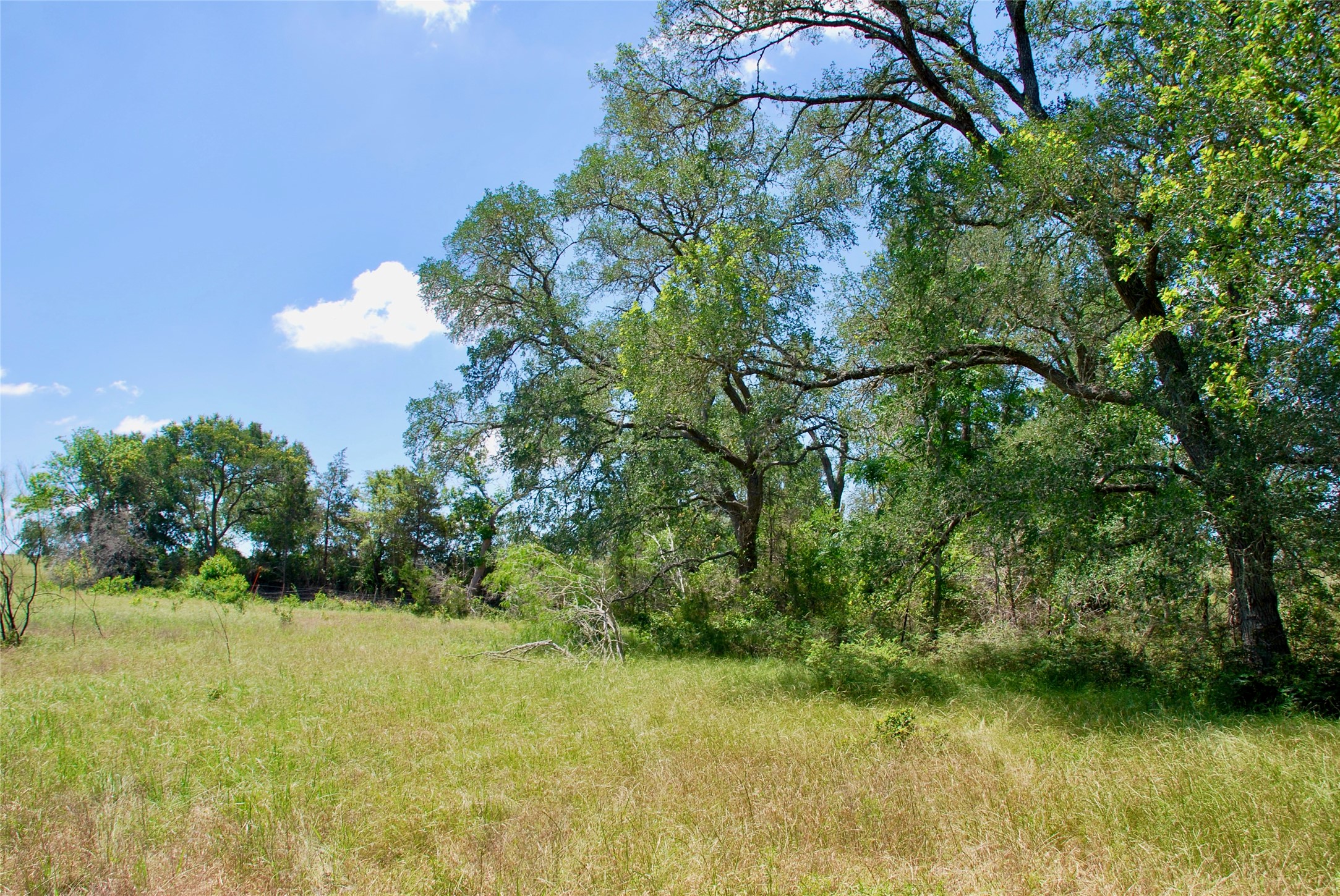 3703 Muehr Road Weimar, TX 78962 - Photo 18 of 29