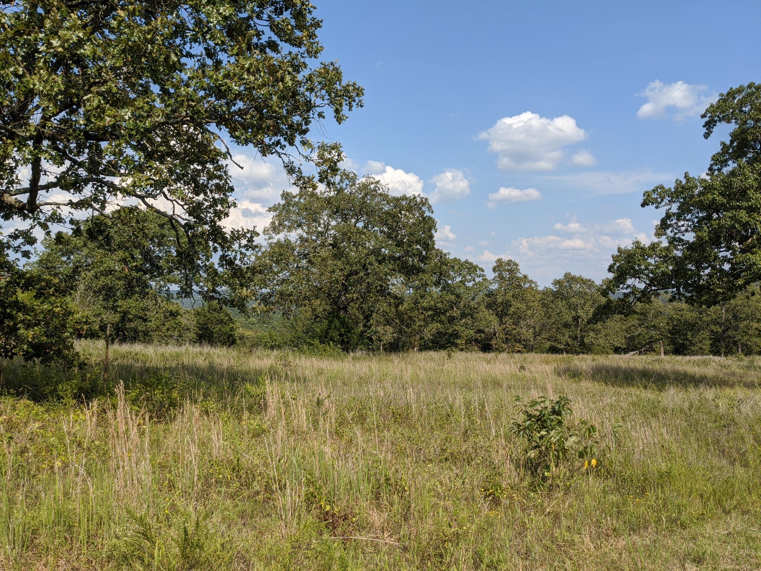 345 Maple Ridge Forsyth, MO 65653 - Photo 1 of 1 IMG_20200908_152020