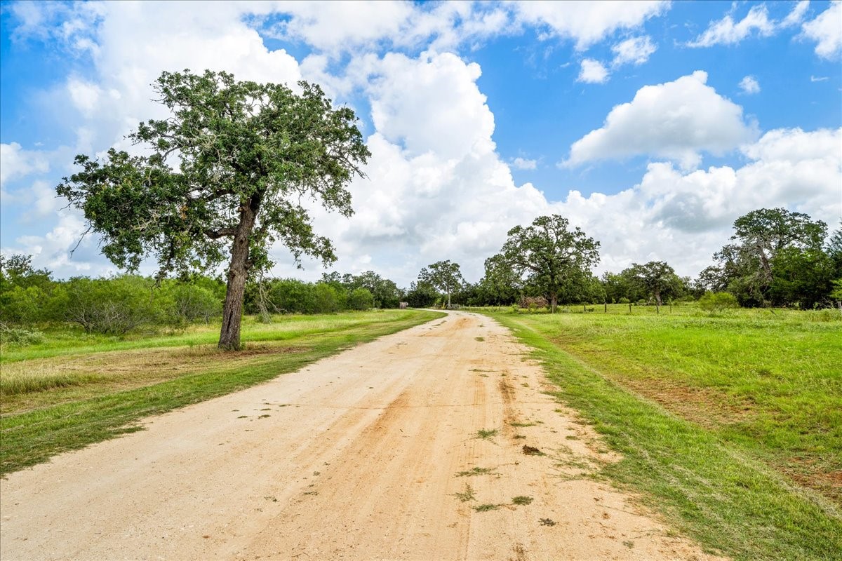 2845 Boehnke Road Muldoon, TX 78949 - Photo 23 of 39 a view of a yard with an trees
