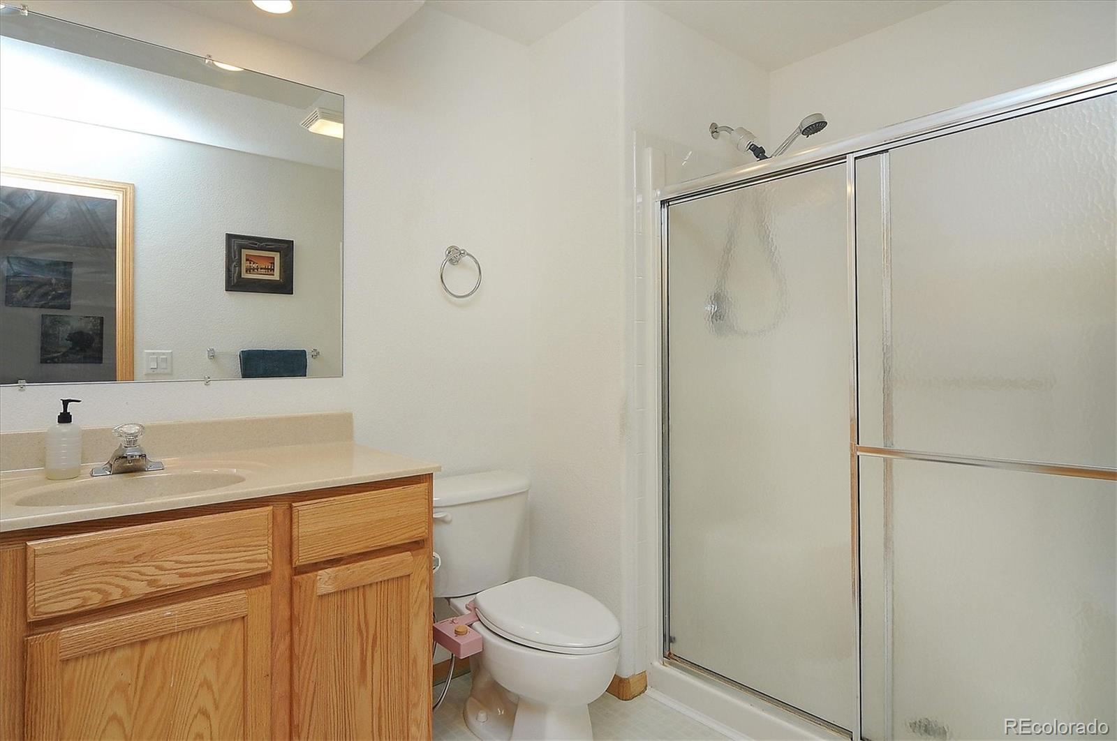 1733 Blacksmith Road Hartsel, CO 80449 - Photo 16 of 22 a bathroom with a granite countertop sink toilet and shower
