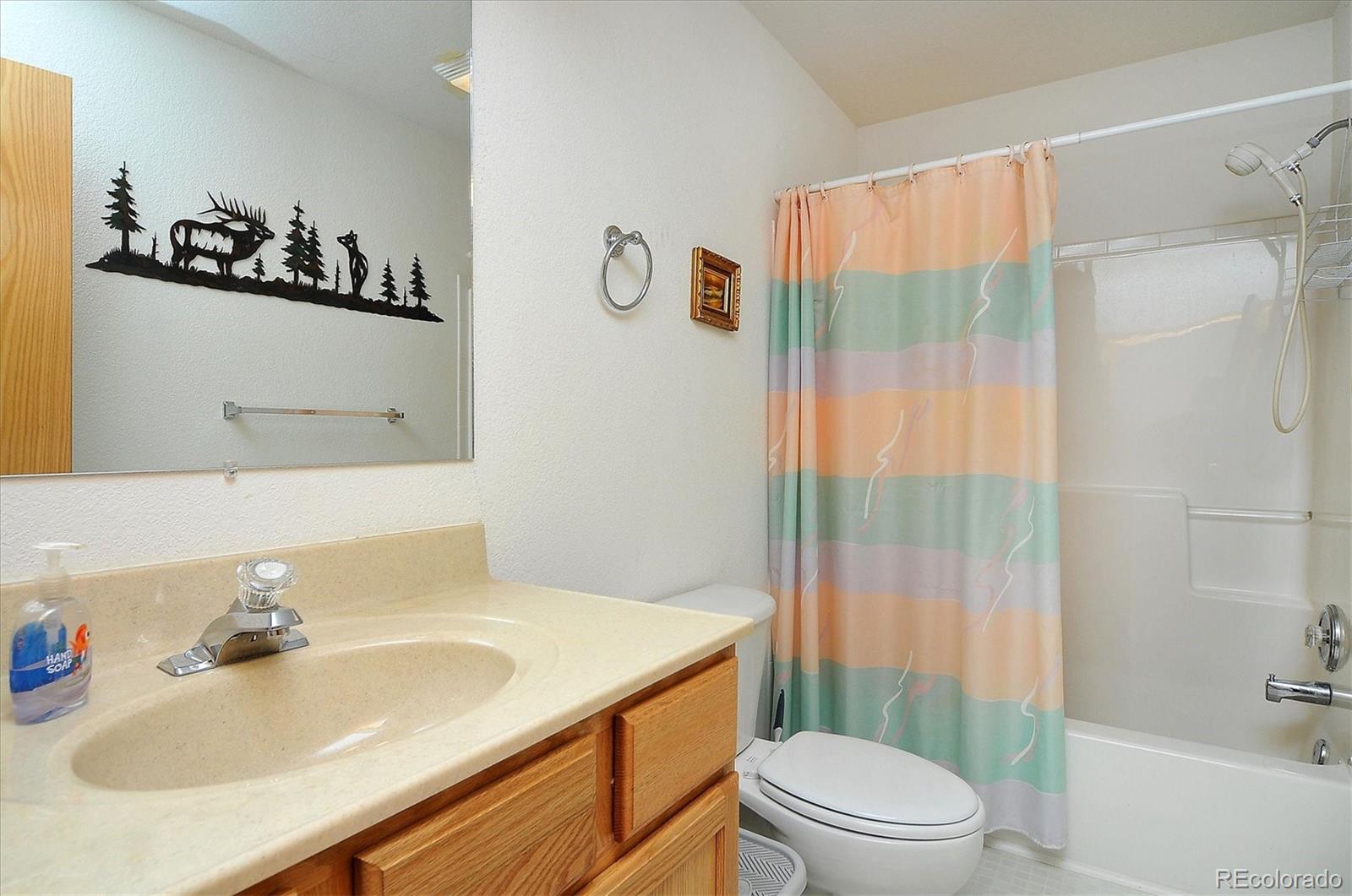 1733 Blacksmith Road Hartsel, CO 80449 - Photo 18 of 22 a bathroom with a sink toilet and shower