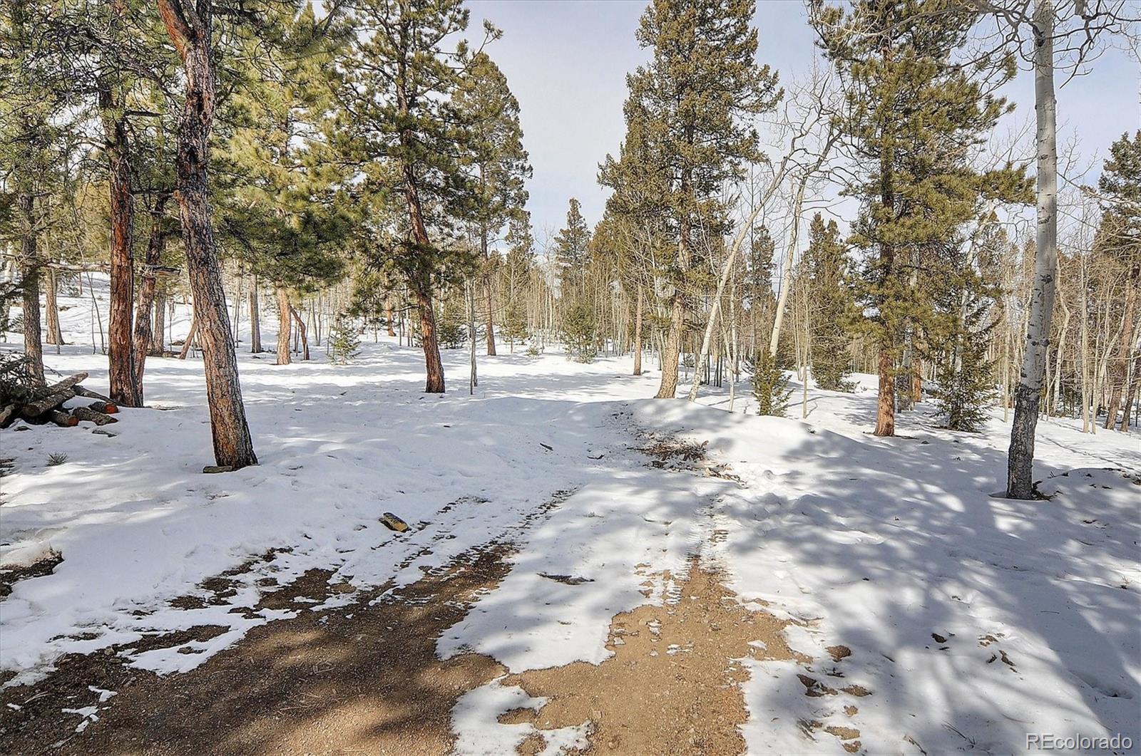 1733 Blacksmith Road Hartsel, CO 80449 - Photo 5 of 22 a view of road with trees
