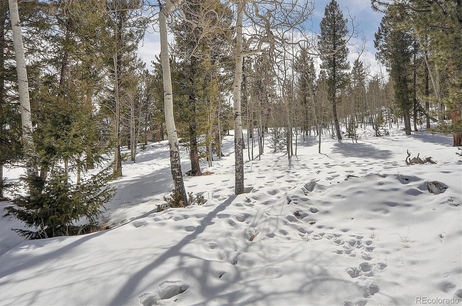 1733 Blacksmith Road Hartsel, CO 80449 - Photo 6 of 22 a view of snow on the road