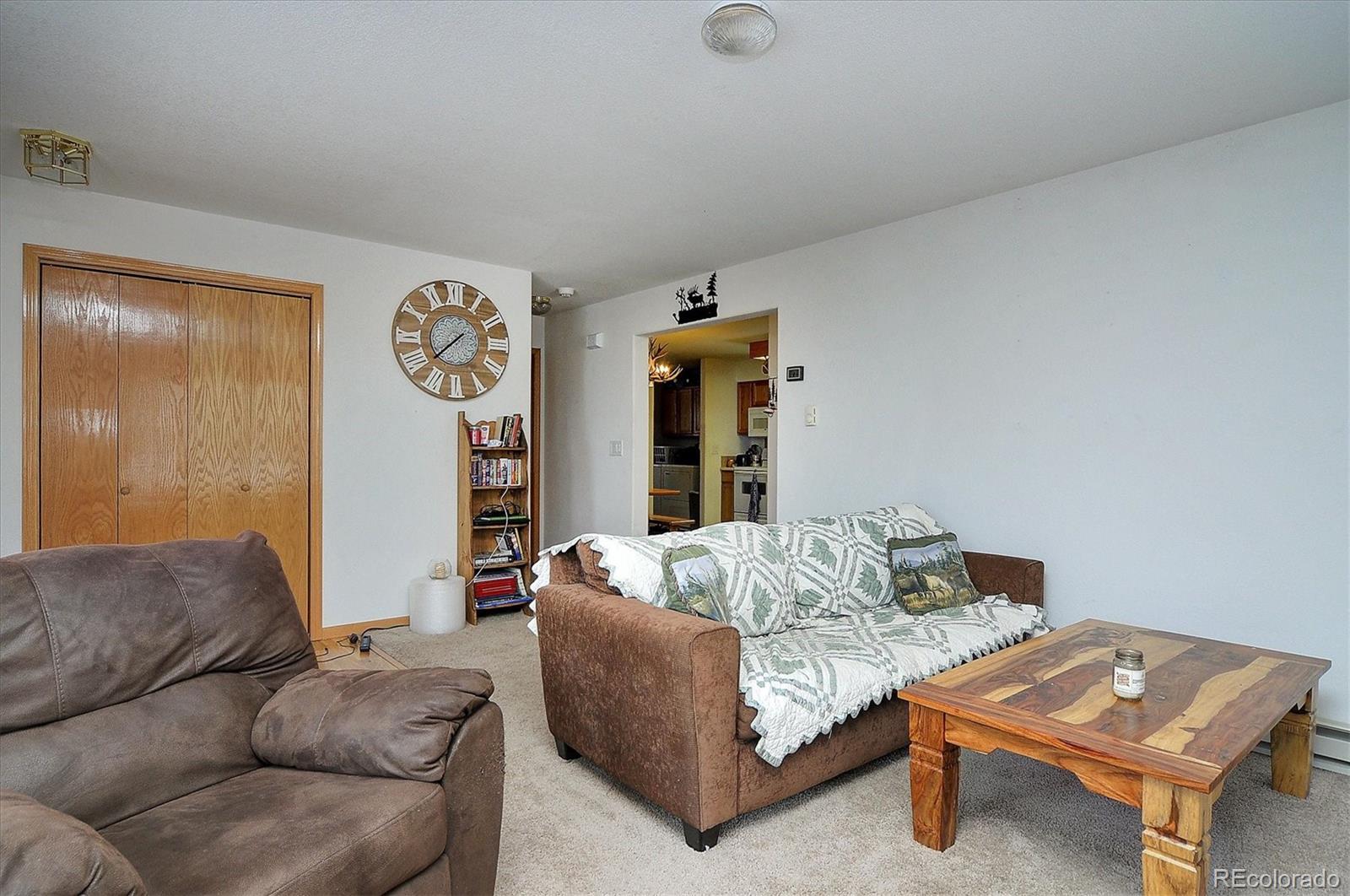 1733 Blacksmith Road Hartsel, CO 80449 - Photo 10 of 22 a living room with furniture and rug