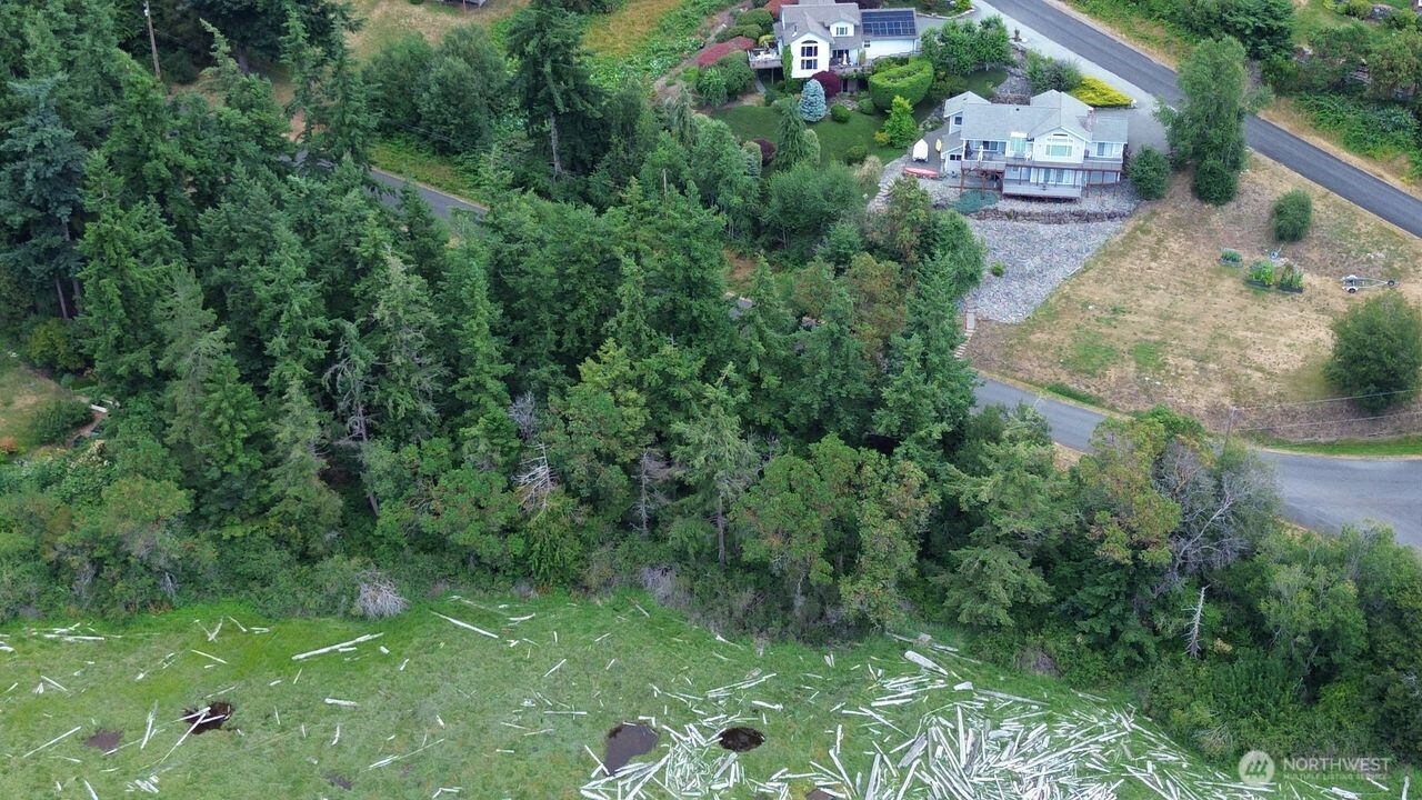 0 Wagner Road Camano Island, WA 98282 - Photo 13 of 27 an aerial view of residential houses with outdoor space and trees