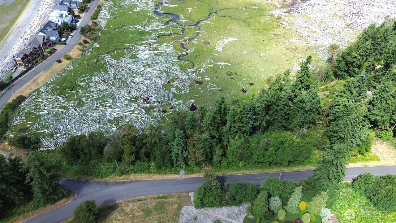 0 Wagner Road Camano Island, WA 98282 - Photo 14 of 27 a view of yard with green space